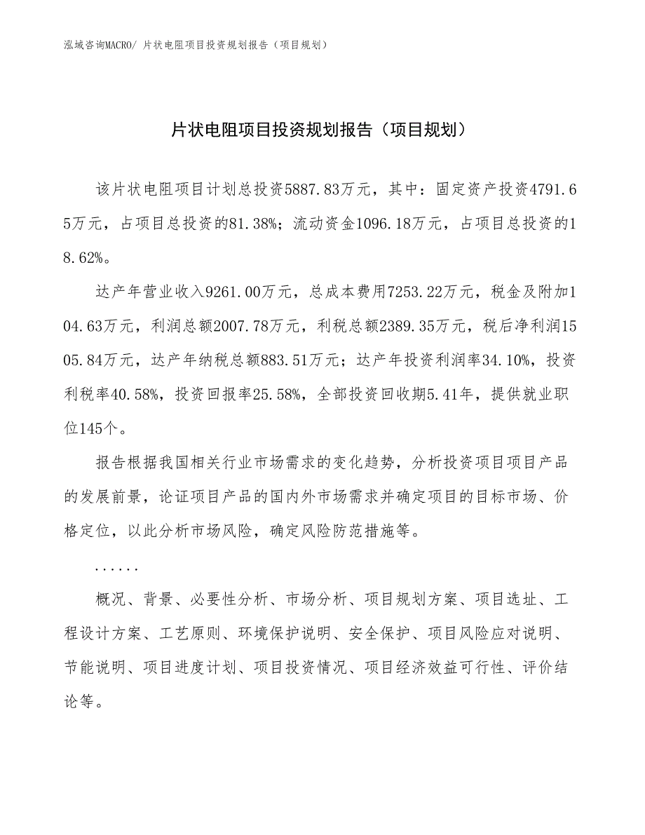 片状电阻项目投资规划报告（项目规划）_第1页