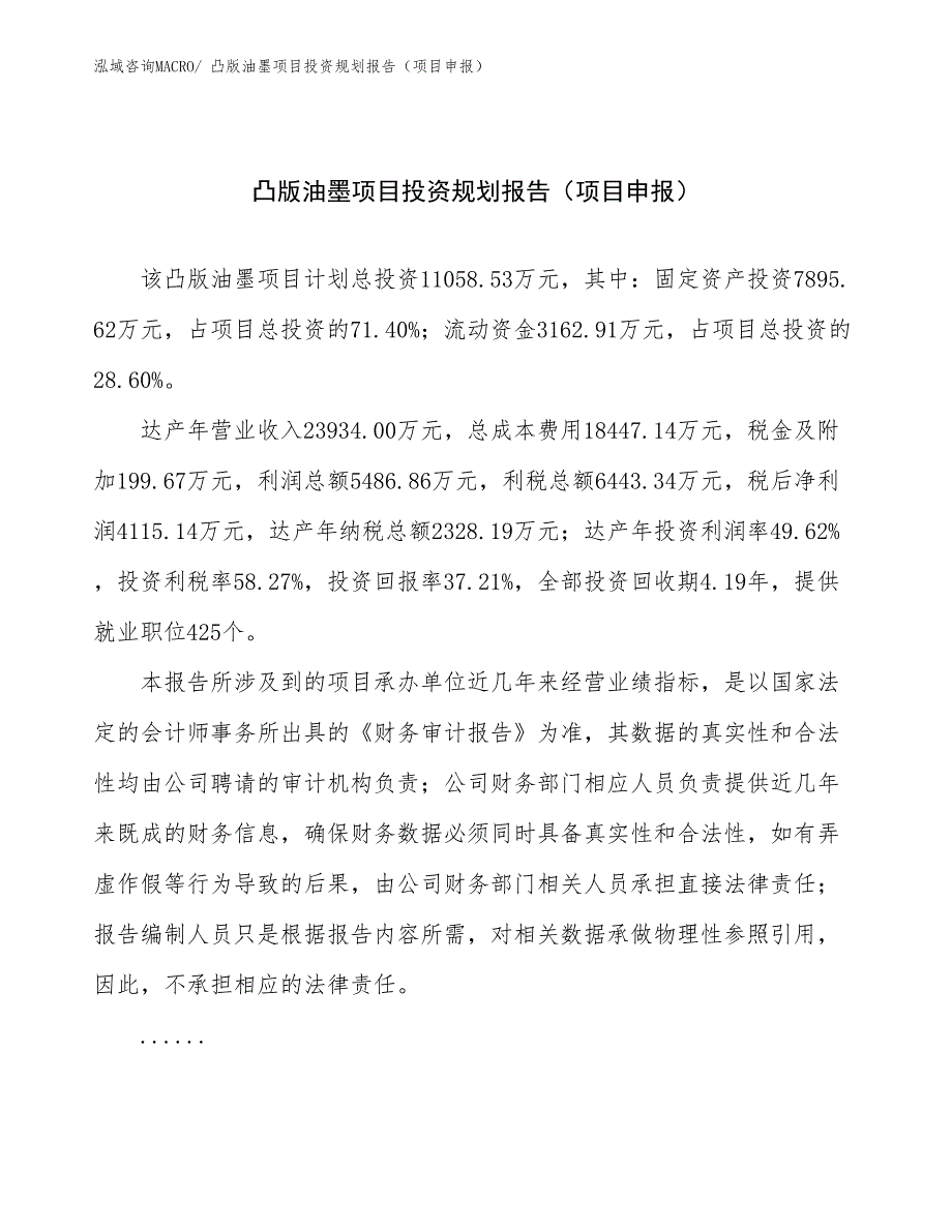 凸版油墨项目投资规划报告（项目申报）_第1页