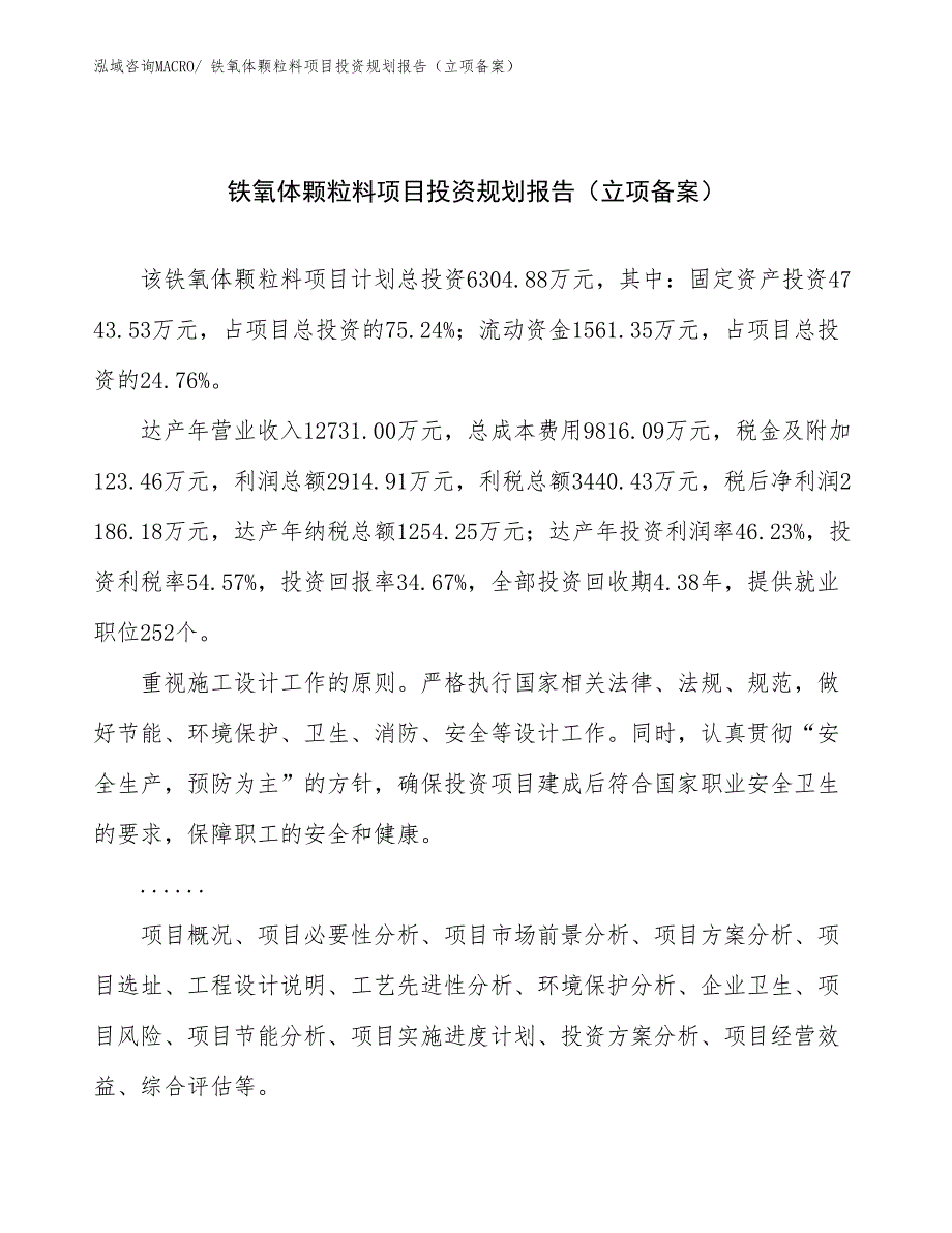 铁氧体颗粒料项目投资规划报告（立项备案）_第1页