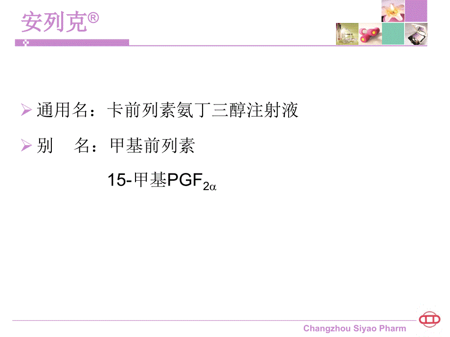 安列克介绍_第3页