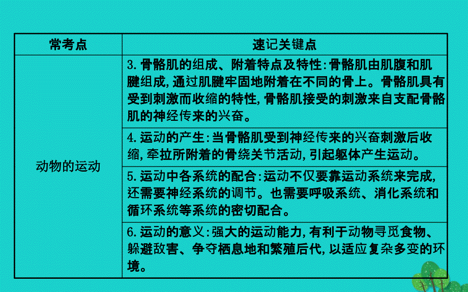 八年级生物上学期期末复习课 探究导学课型 第五单元 第2-3章课件 （新版）新人教版_第3页