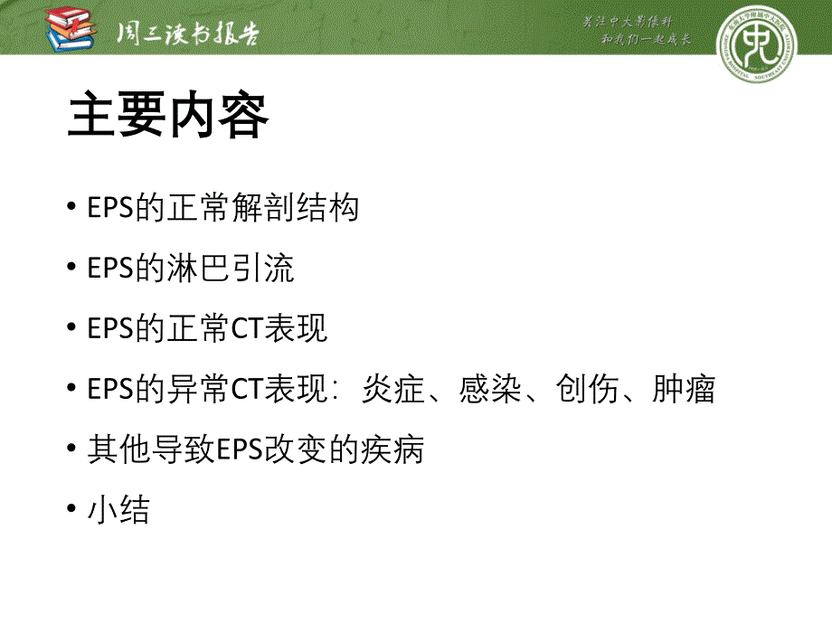 多排CT在胸膜外间隙评估中的作用.pptx_第2页