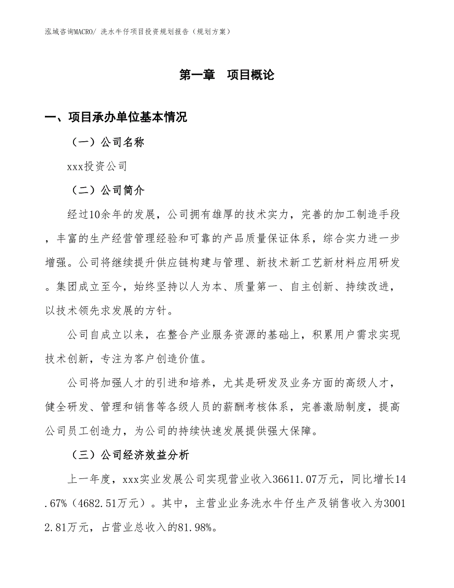 洗水牛仔项目投资规划报告（规划方案）_第3页