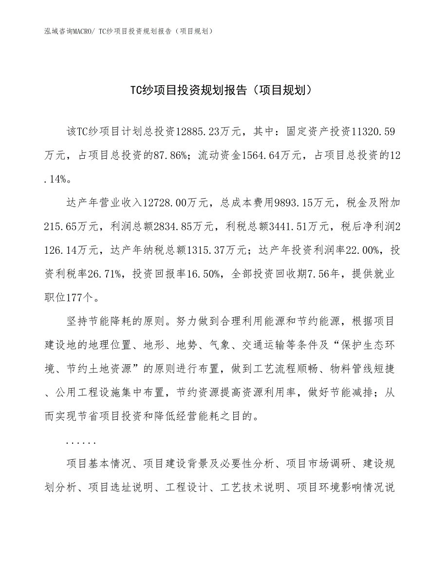 TC纱项目投资规划报告（项目规划）_第1页