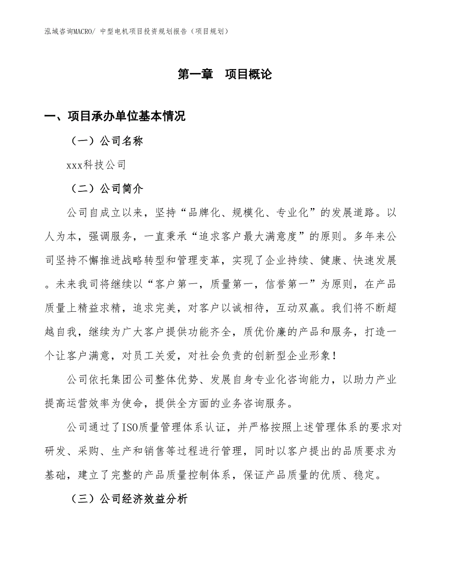 中型电机项目投资规划报告（项目规划）_第2页