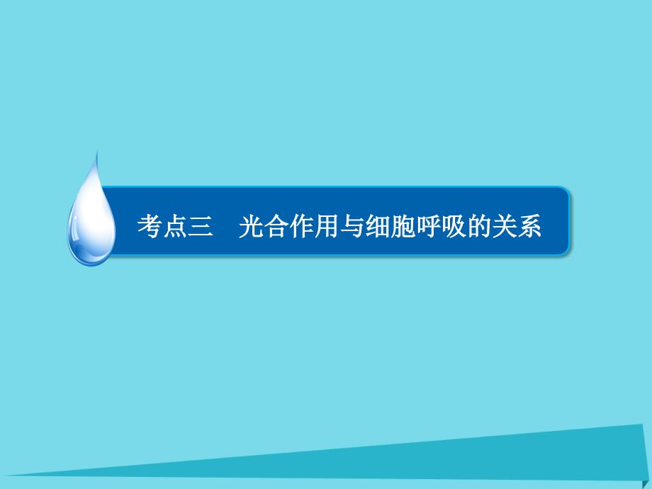 2018高考生物一轮复习 第二单元 细胞的代谢 专题6 光合作用 考点3 光合作用与细胞呼吸的关系课件_第3页