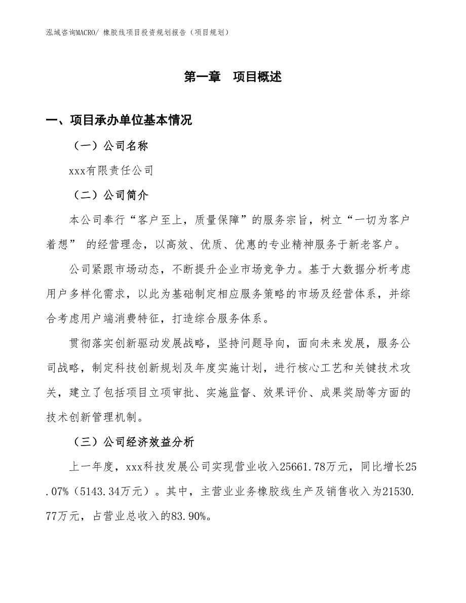 橡胶线项目投资规划报告（项目规划）_第3页