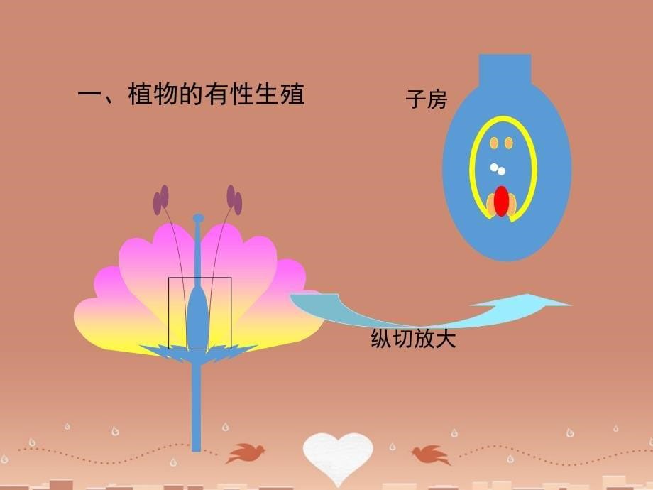 甘肃省临洮县洮阳初级中学八年级生物下册 7.1.1 植物的生殖课件（2）（新版）新人教版_第5页