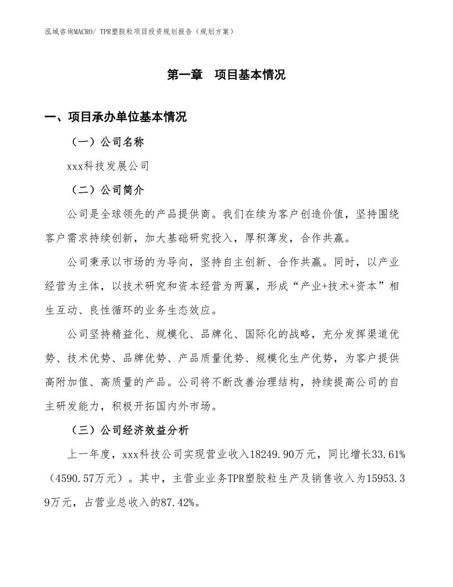 TPR塑胶粒项目投资规划报告（规划方案）_第3页