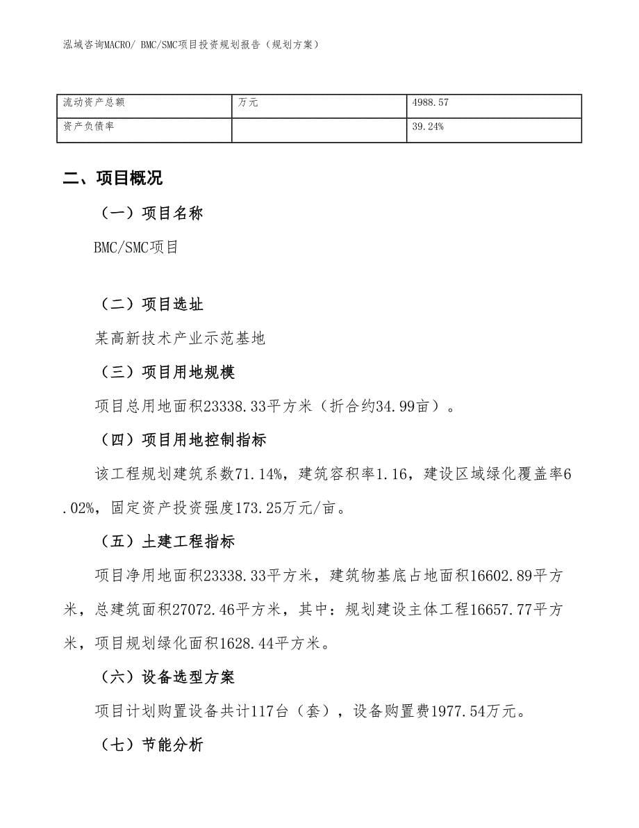 BMC_SMC项目投资规划报告（规划方案）_第5页