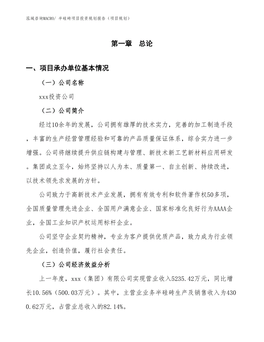 半硅砖项目投资规划报告（项目规划）_第3页