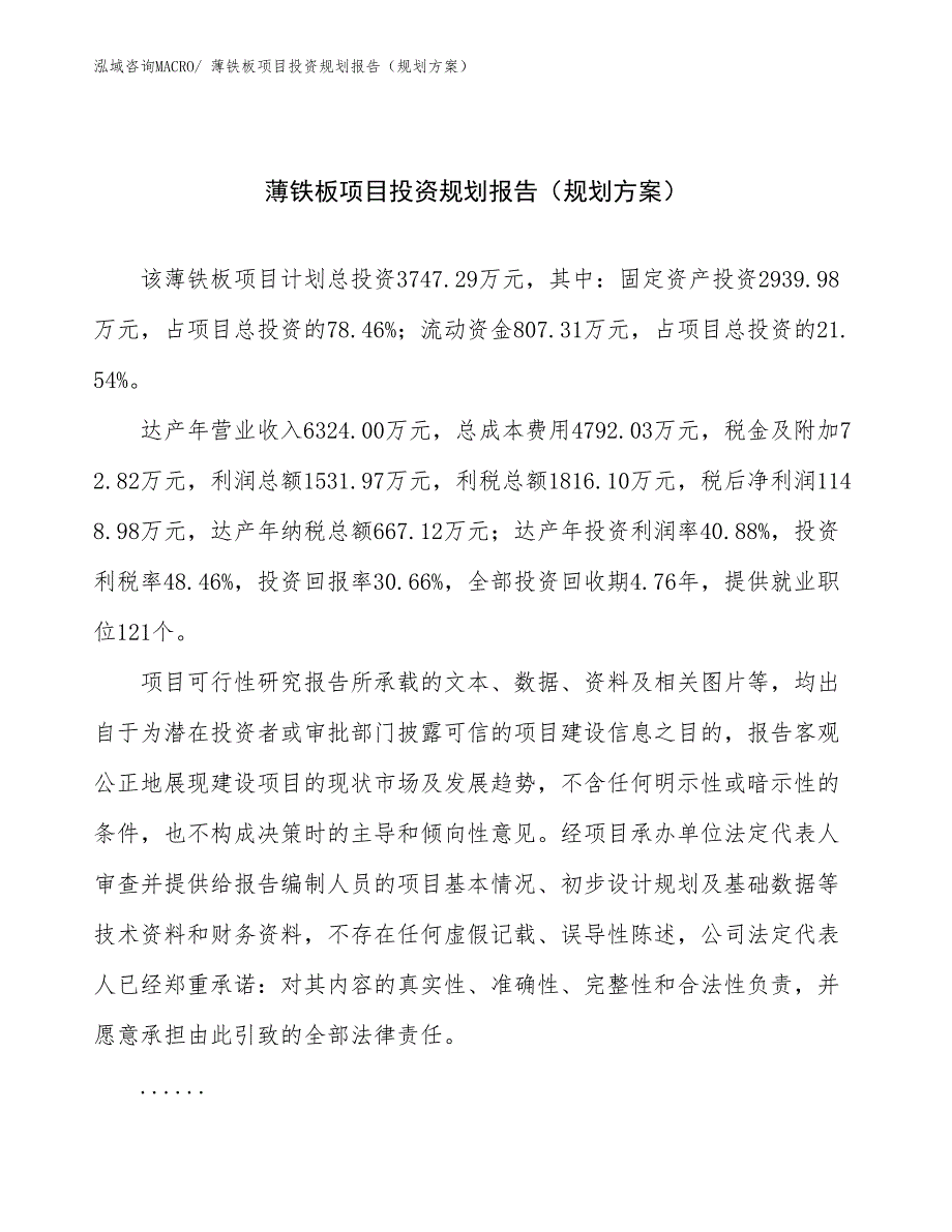 薄铁板项目投资规划报告（规划方案）_第1页