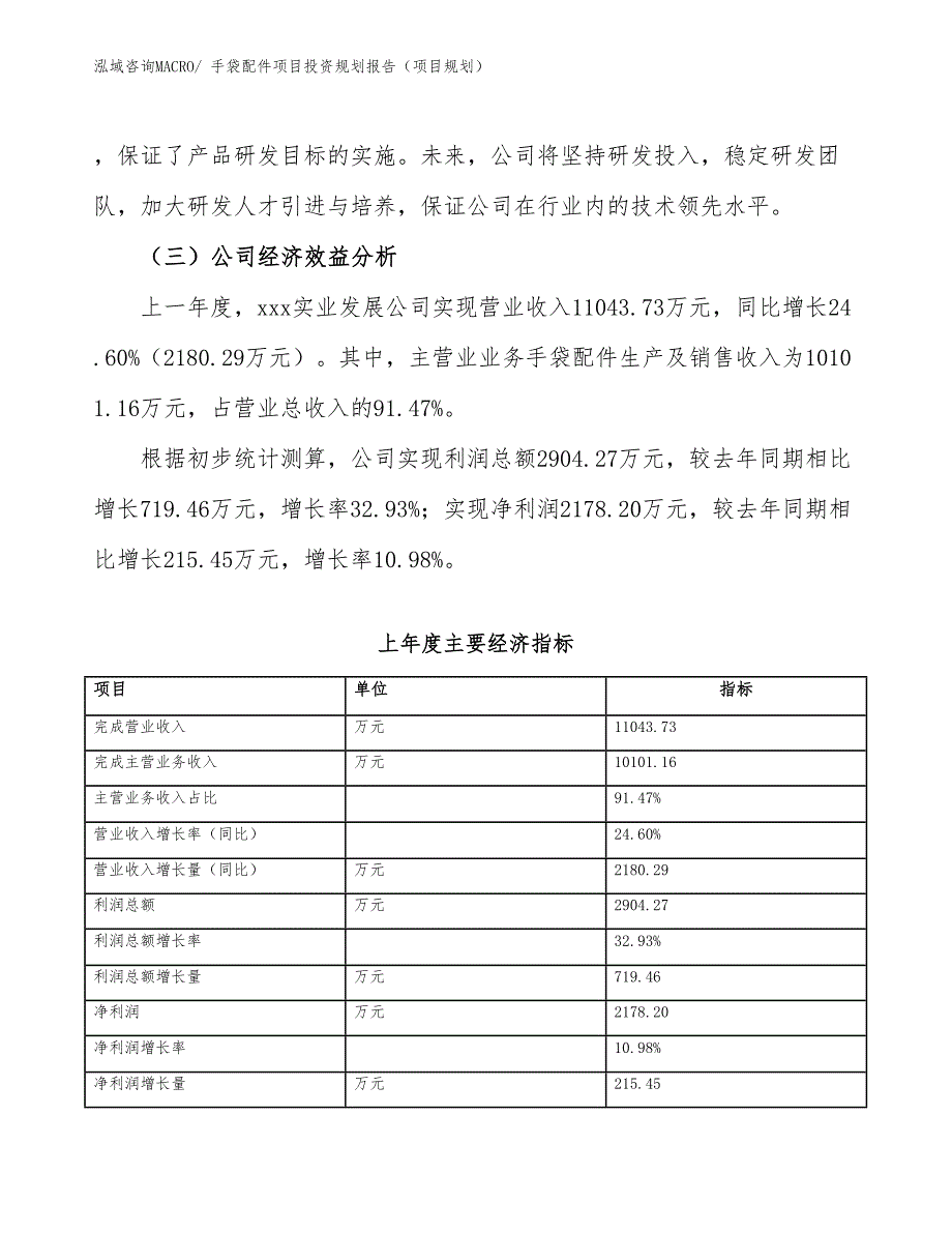 手袋配件项目投资规划报告（项目规划）_第3页