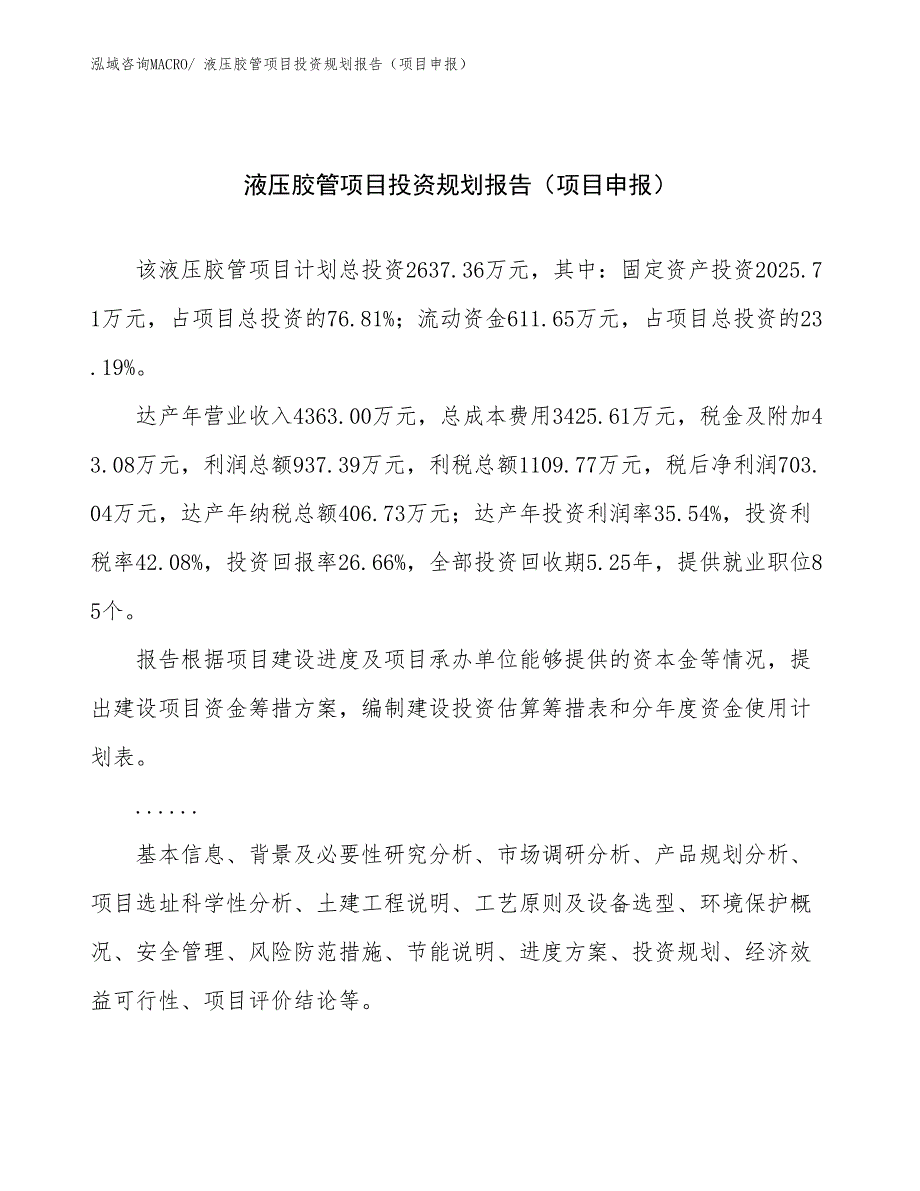 液压胶管项目投资规划报告（项目申报）_第1页