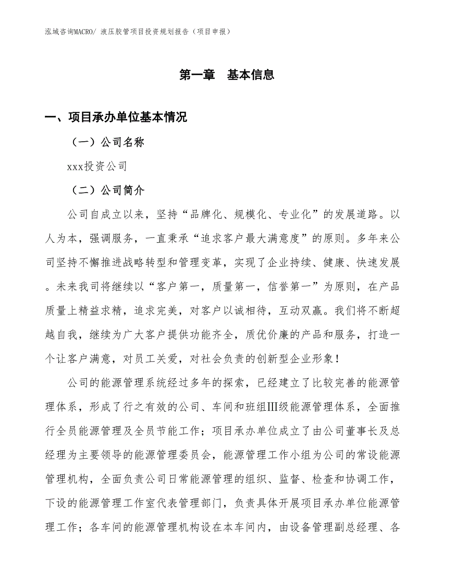 液压胶管项目投资规划报告（项目申报）_第2页