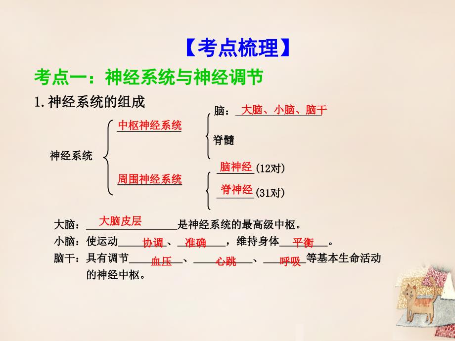 广东省2018中考生物 考点梳理复习 第四单元 第十二章 人体的自我调节课件_第3页