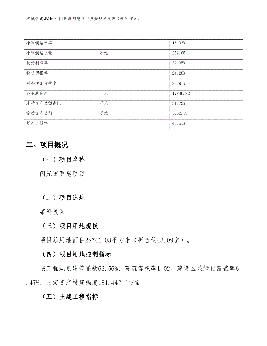 闪光透明皂项目投资规划报告（规划方案）_第4页