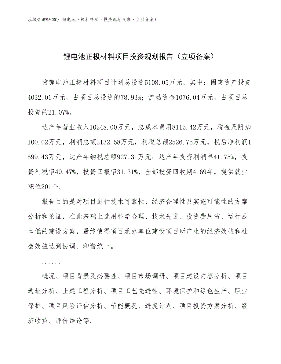 锂电池正极材料项目投资规划报告（立项备案）_第1页