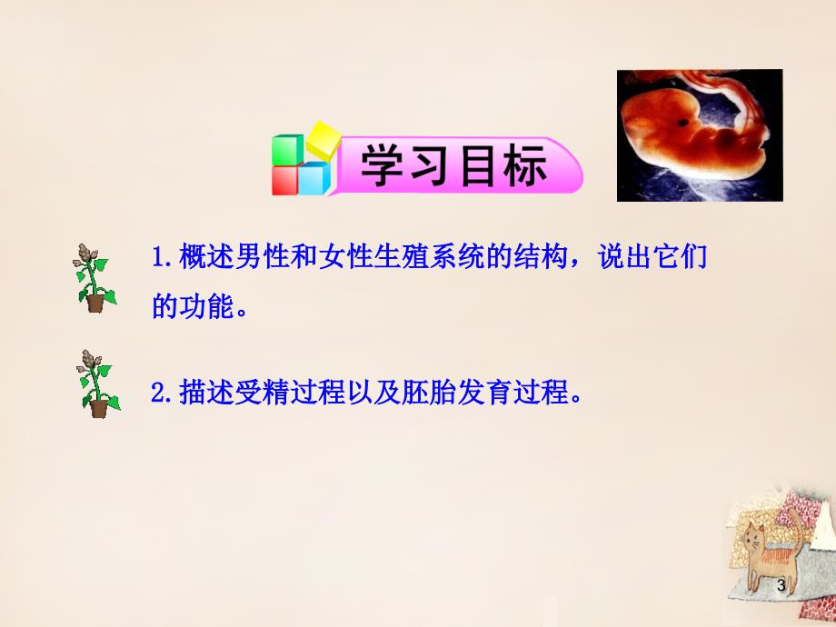 四川省越西县越城镇西城中学七年级生物下册 第一章 第二节 人的生殖课件3 新人教版_第3页