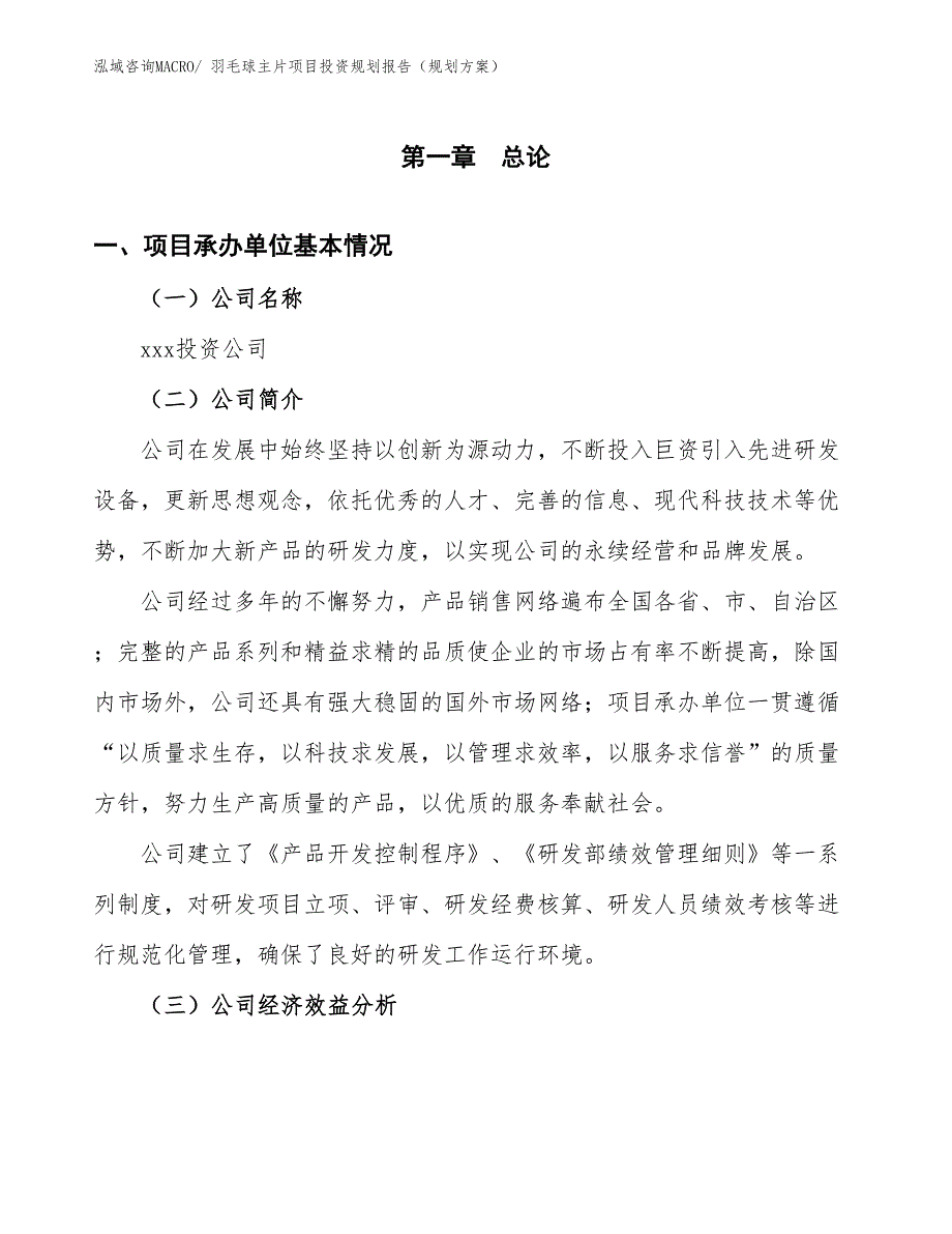 羽毛球主片项目投资规划报告（规划方案）_第3页