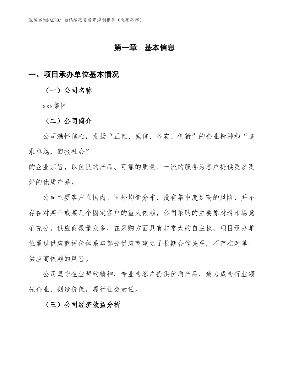 白鸭绒项目投资规划报告（立项备案）_第3页