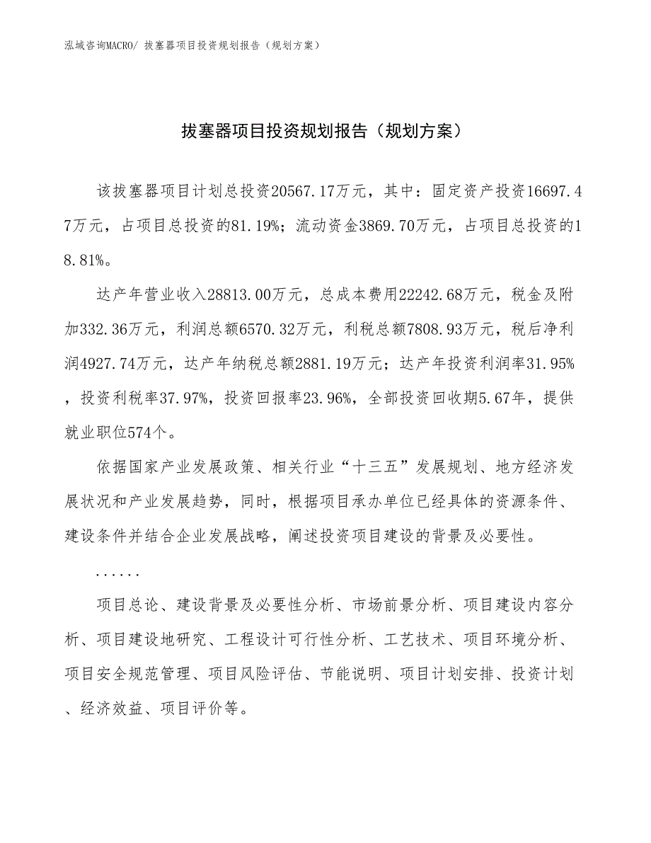 拔塞器项目投资规划报告（规划方案）_第1页