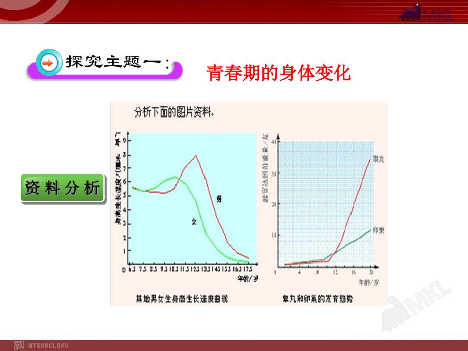 2014初中生物多媒体教学课件：第1章 第3节  青春期（人教版七年级下册）_第4页