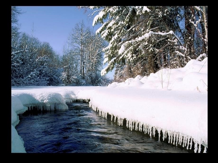 非常漂亮的雪景_第5页