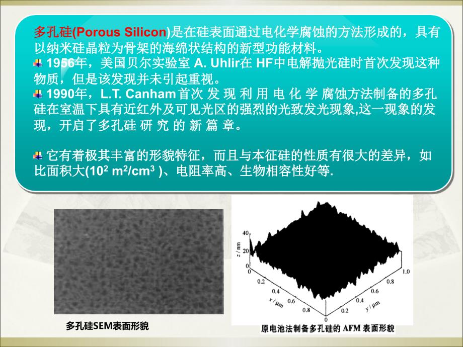 多孔硅及其材料_第4页