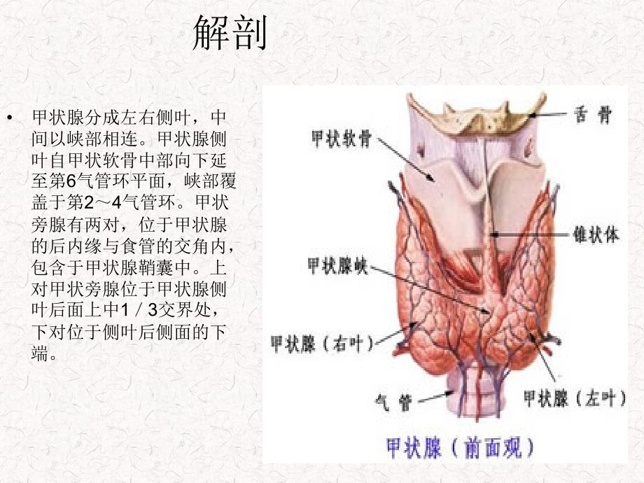 常见甲状腺疾病的ct诊断总结_第2页