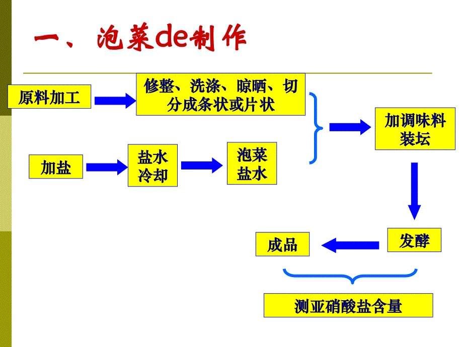 制作泡菜并检测亚硝酸盐含量(公开课)_第5页