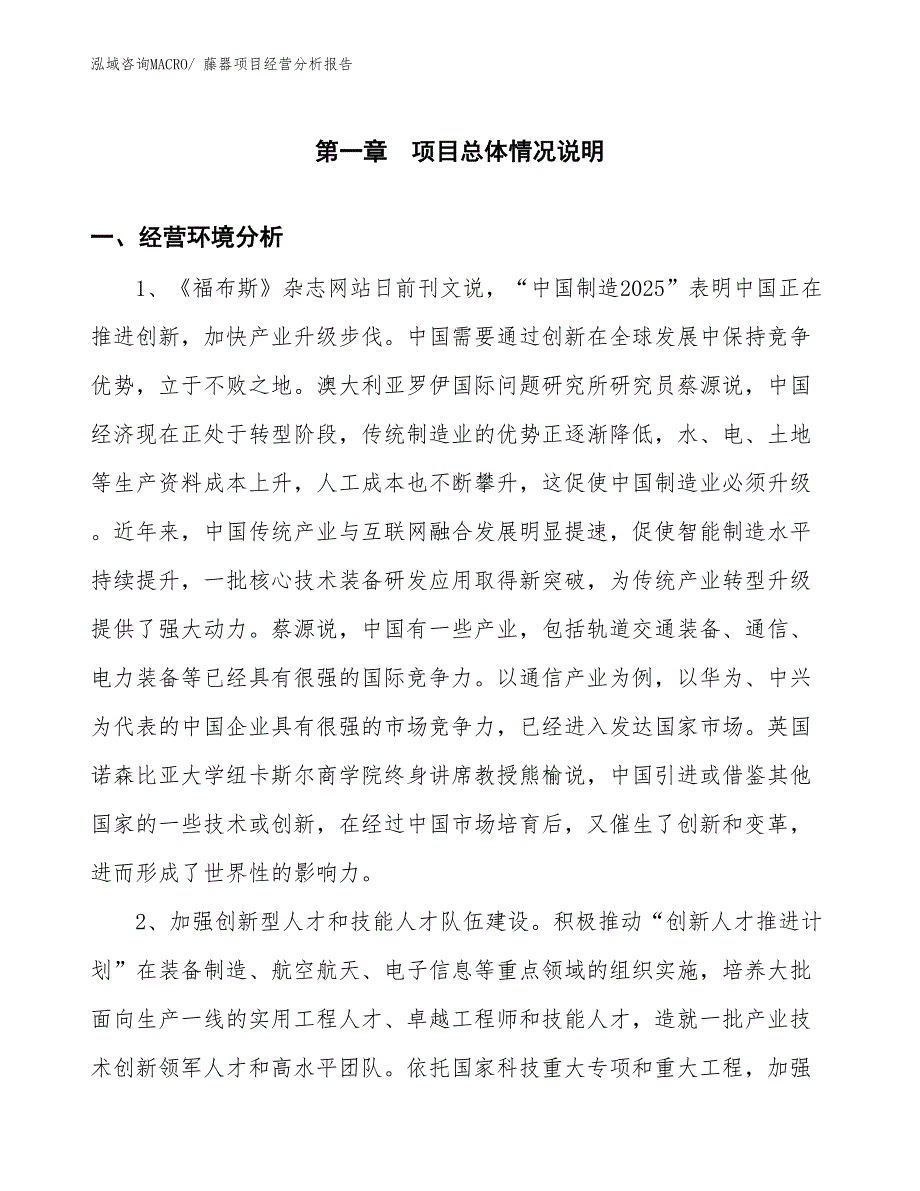 藤器项目经营分析报告_第1页