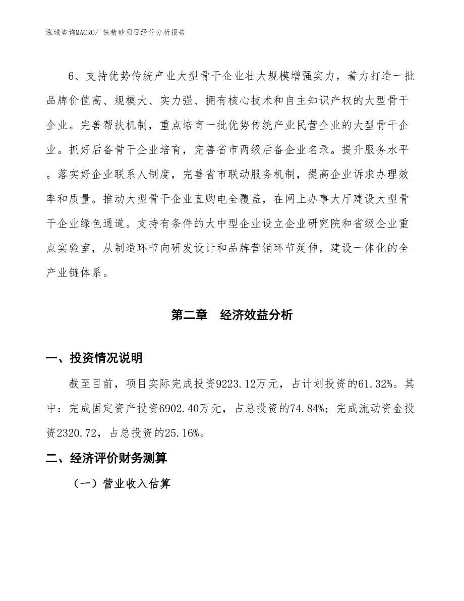 铁精砂项目经营分析报告_第5页