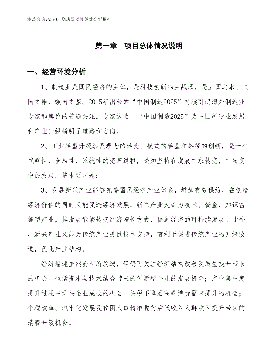 烧烤器项目经营分析报告_第1页