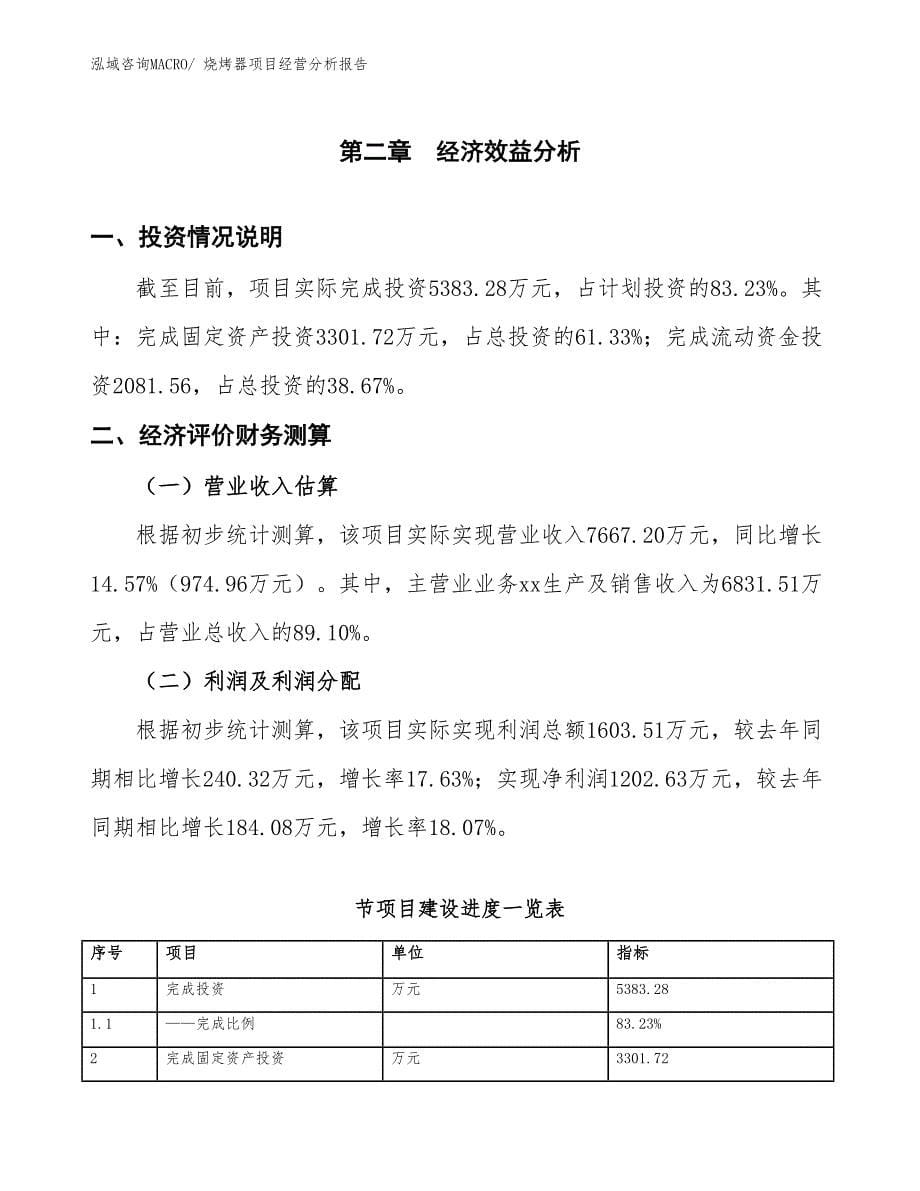 烧烤器项目经营分析报告_第5页