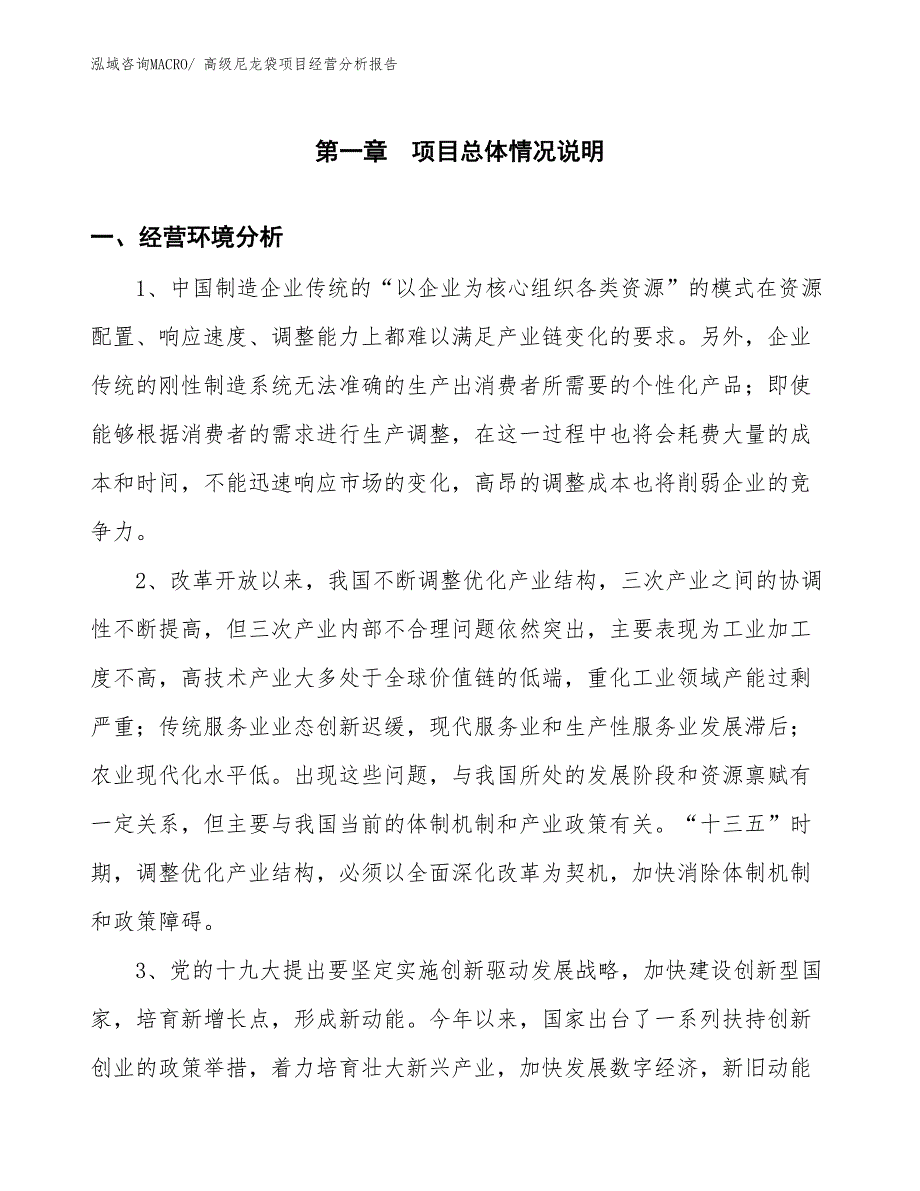 高级尼龙袋项目经营分析报告_第1页