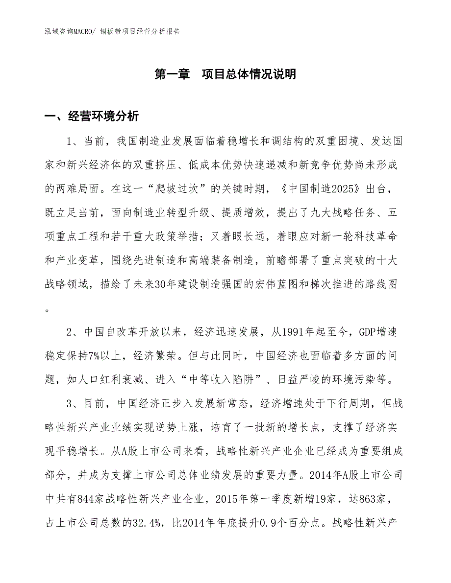 铜板带项目经营分析报告_第1页