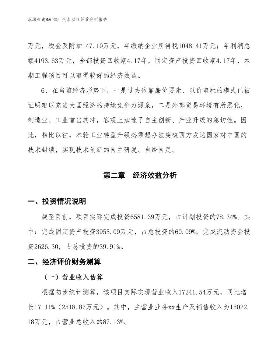 汽水项目经营分析报告_第5页