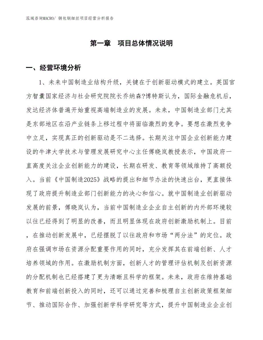 铜包钢细丝项目经营分析报告_第1页