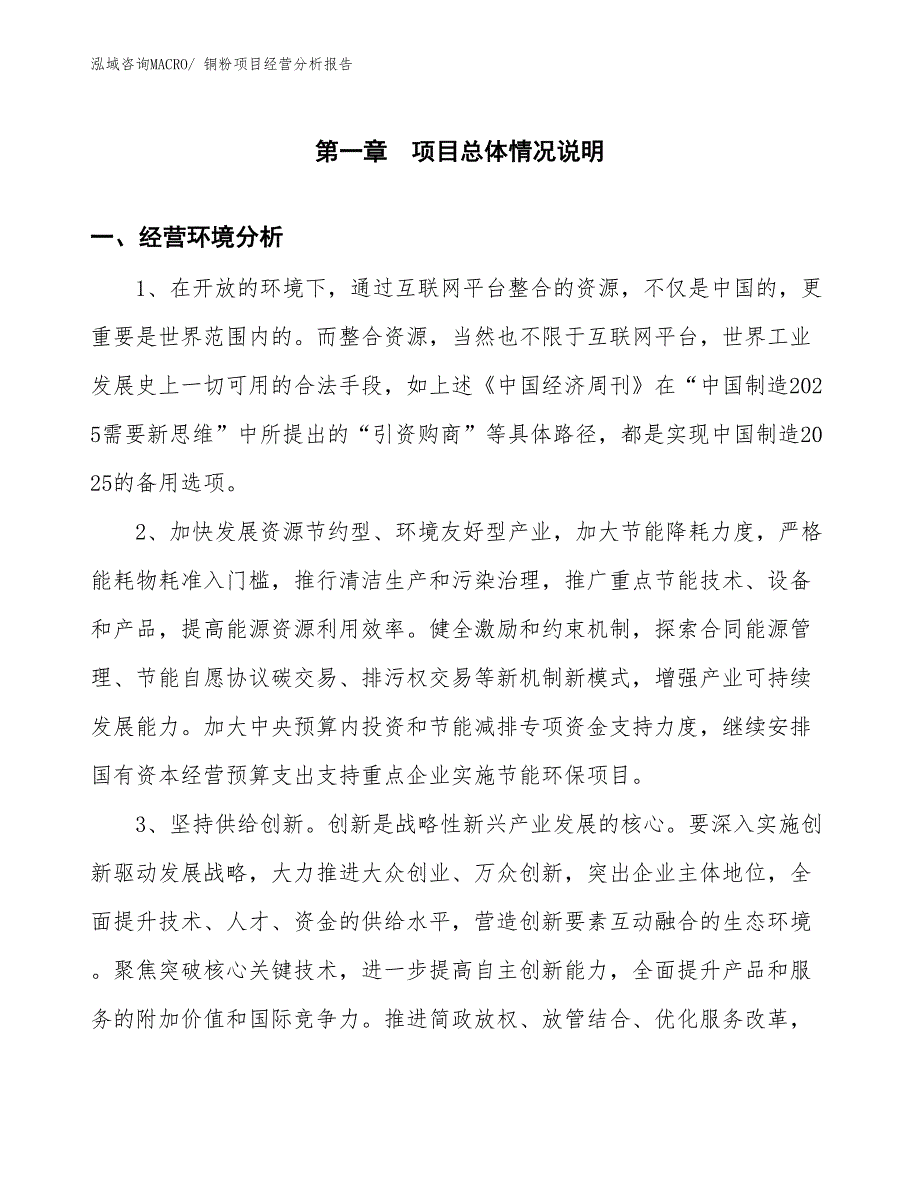 铜粉项目经营分析报告_第1页