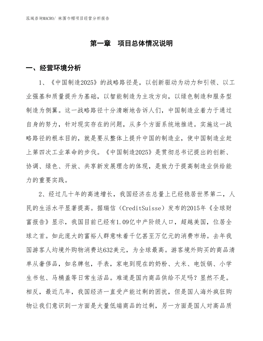 袜围巾帽项目经营分析报告_第1页