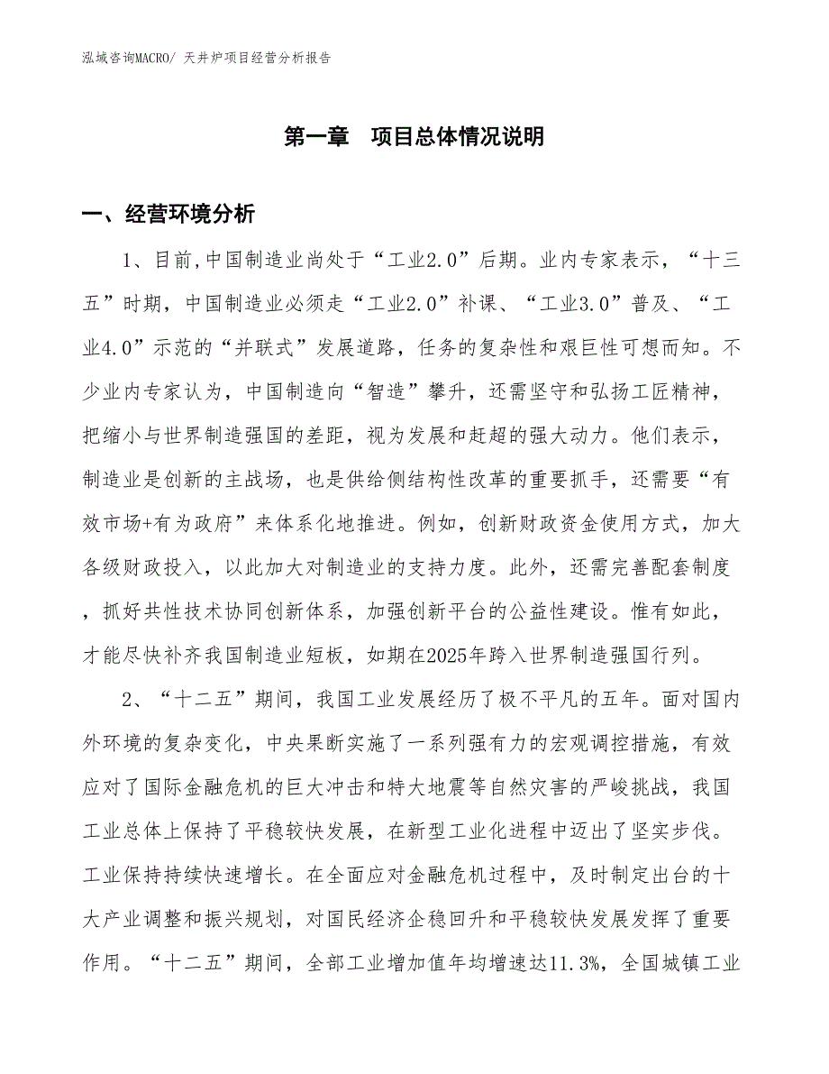 天井炉项目经营分析报告_第1页