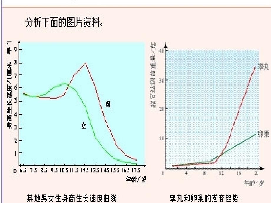 人教版七年级下生物青春期_第2页