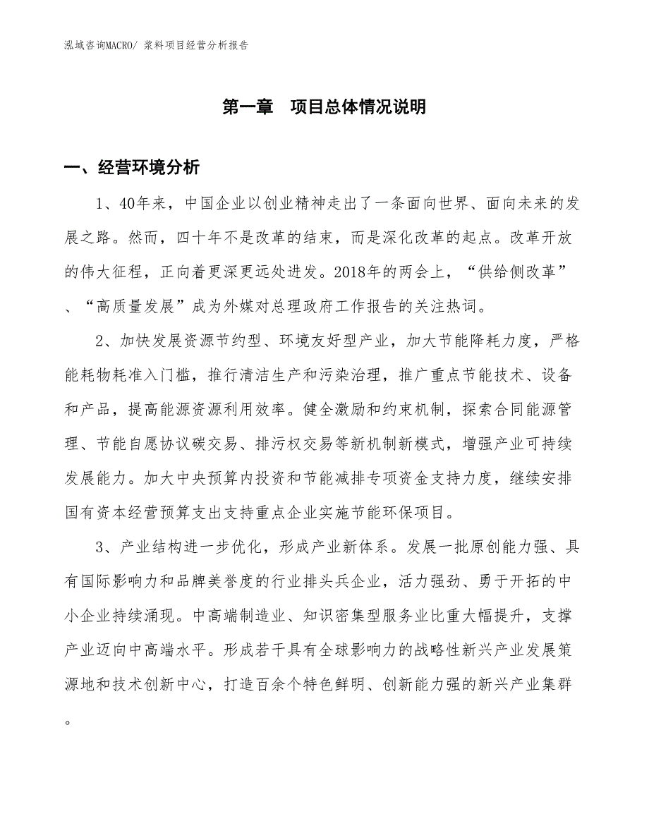 浆料项目经营分析报告_第1页