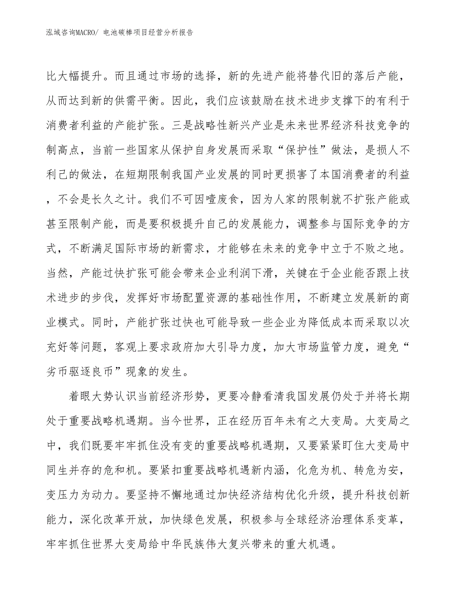 电池碳棒项目经营分析报告_第2页