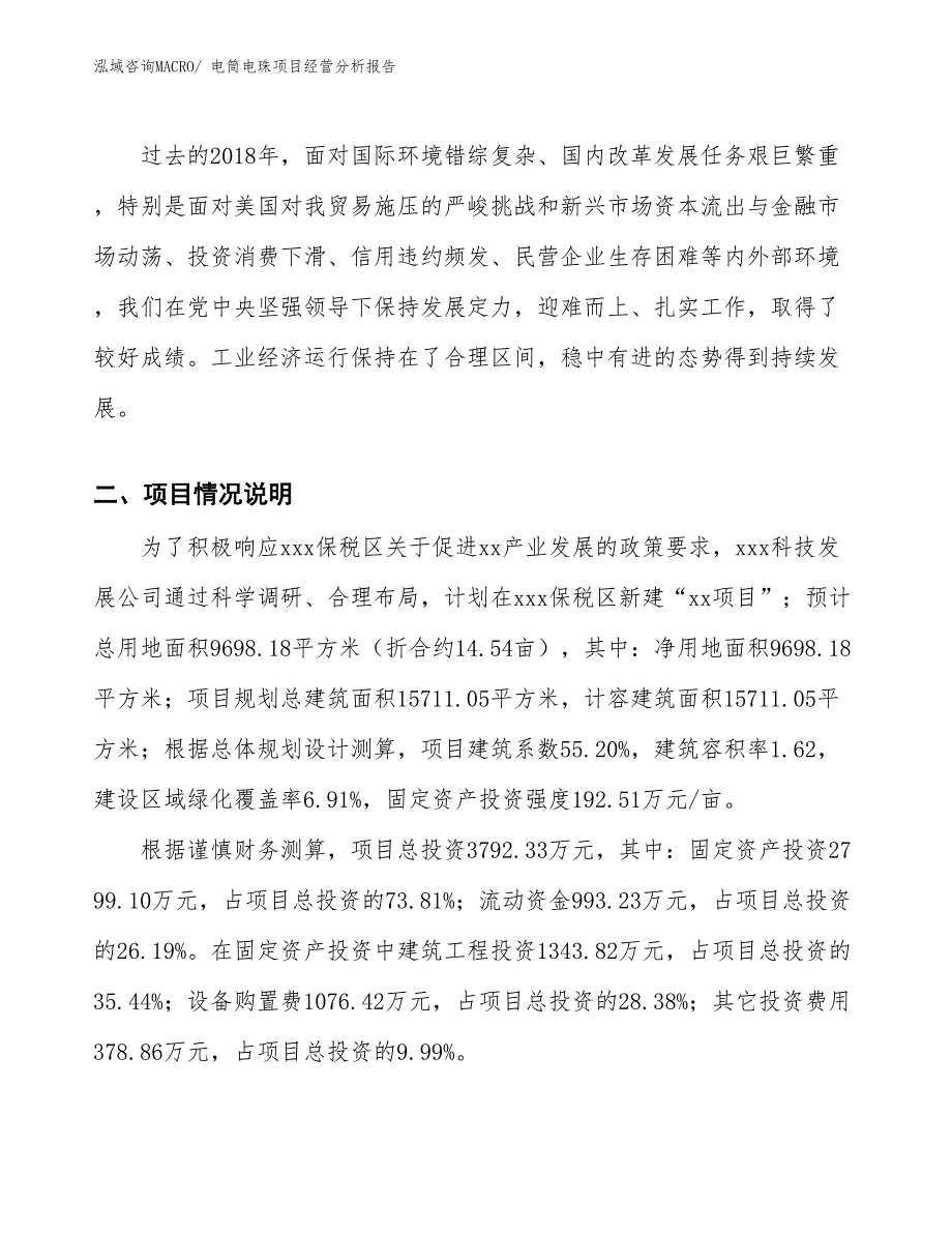 电筒电珠项目经营分析报告_第2页