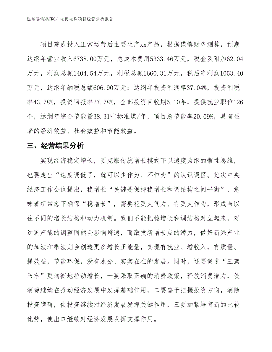 电筒电珠项目经营分析报告_第3页