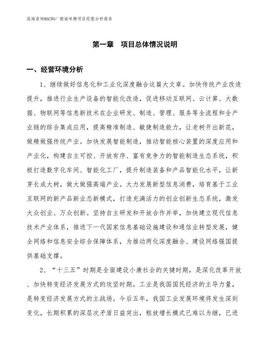 榕诚味精项目经营分析报告_第1页