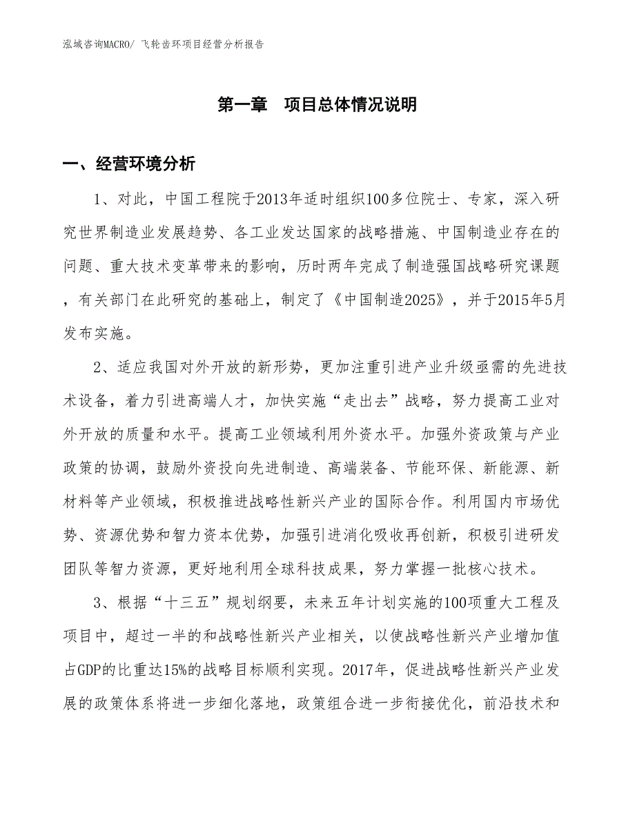 飞轮齿环项目经营分析报告_第1页