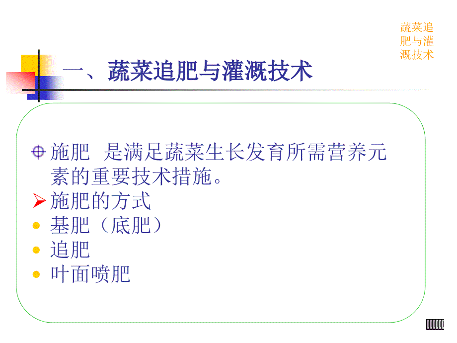 蔬菜的田间管理(浇水、施肥、植株调整).ppt_第4页